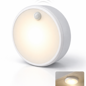 Motion Sensor Light