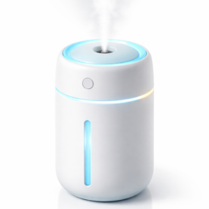 Portable Mini Humidifier